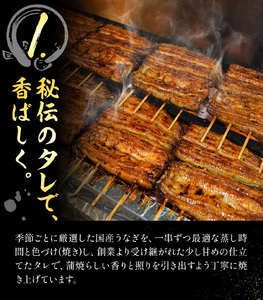 【3ヶ月定期便】鰻 国産鰻蒲焼 2パック 約 120g ×2 有限会社安井家《お申込み翌月から出荷》千葉県 我孫子市  鰻 うなぎ 蒲焼 丑の日 蒲焼き 冷蔵 タレ 山椒【配送不可地域あり】(離島)