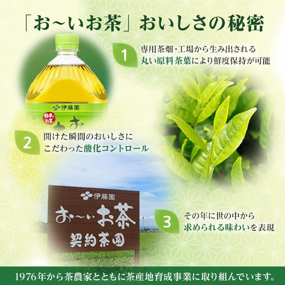 お～いお茶 緑茶  2L × 2ケース（12本）