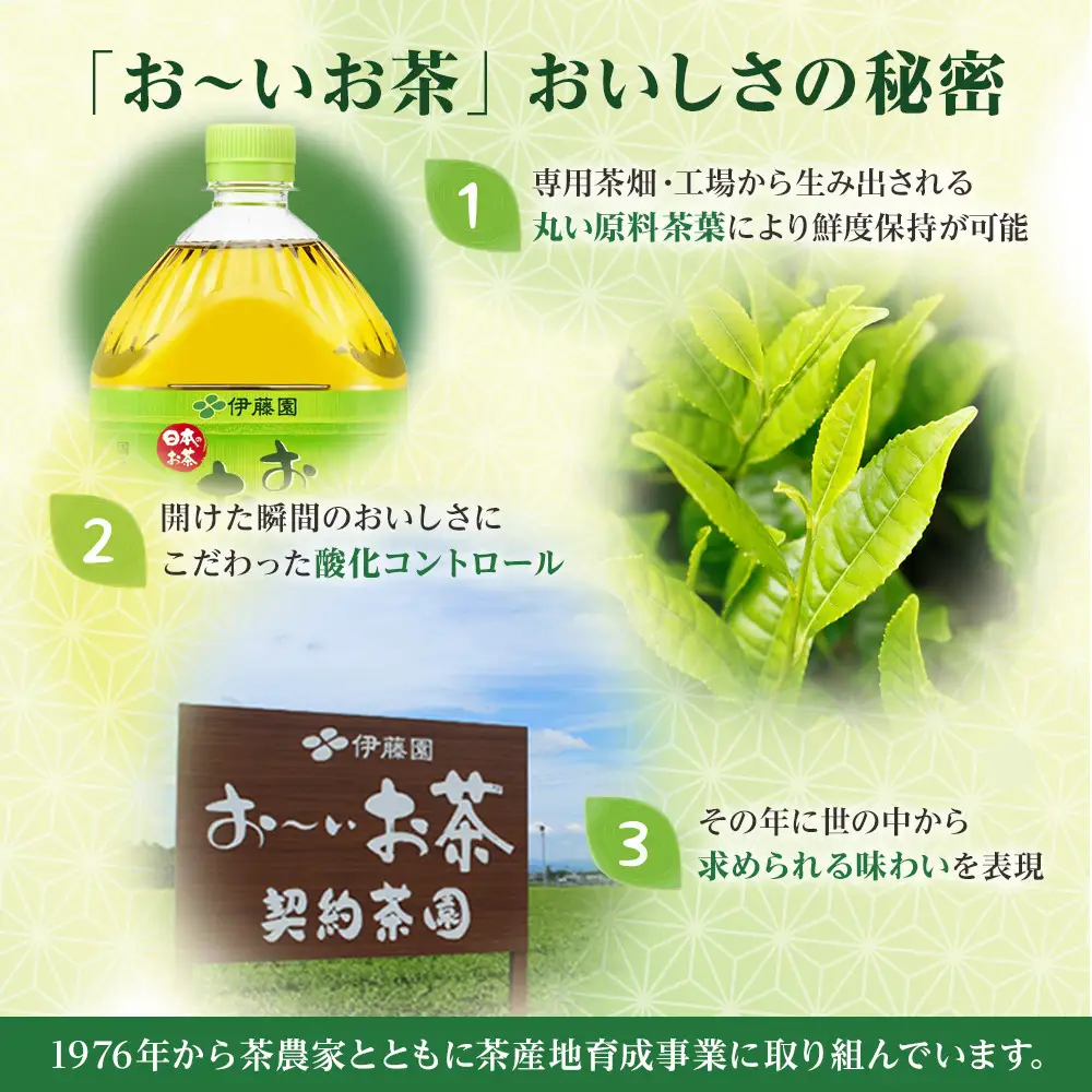 【定期便 全3回 毎月発送】お～いお茶 緑茶  2L × 2ケース（12本）