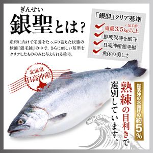 えりも産銀聖鮭塩引き10切セット【er003-020-a】 / 鮭 さけ サケ シャケ しゃけ 切身 切り身 銀鮭 銀聖 銀毛 銀毛鮭 塩鮭 塩漬 塩漬 辛口 焼き魚 焼魚 ムニエル 冷凍 冷凍便 魚介類 魚介 水産加工品 加工品 加工食品 大容量 海鮮 海の幸 海産物 北海道産 国産