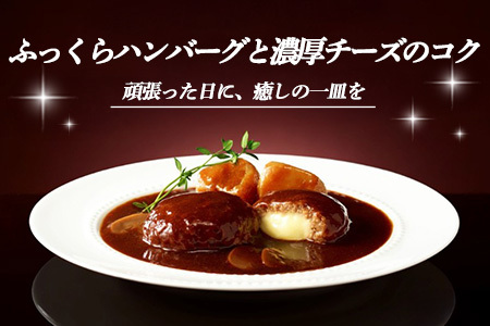 レンジでごちそう シチュー・ド・ハンバーグ×2袋 K021076