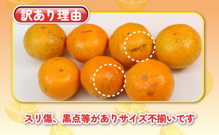 【愛媛みかん】訳あり 南柑20号 みかん 5kg 杉本屋 愛媛 B010-143015