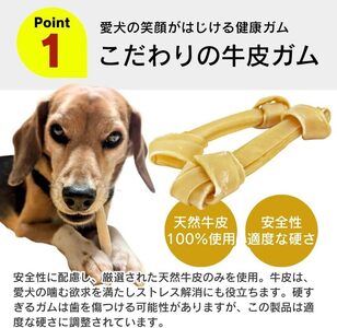 くいしんぼ デンタルガム 骨型（ミニ）20本×36袋_くいしんぼ デンタルガム 骨型 ミニ 20本 ×36袋 ハードタイプ 歯垢 落とす 歯ぐき マッサージ ストレス解消 歯磨き サポート 多頭飼育 ブリーダー おすすめ 犬 おやつ 送料無料 〔Pf051-01〕