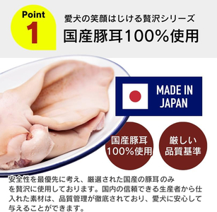 プレミアム長持ちおやつ 犬用（豚耳カット）40g×63袋_プレミアム 長持ち おやつ 犬用 豚耳 カット 40g × 63袋 国産 コラーゲン 旨味 凝縮 じっくり乾燥 ハード 食感 噛み応え ストレス解消 歯磨き効果 顎 トレーニング ストック 福岡県 久留米市 送料無料 〔Pf058〕
