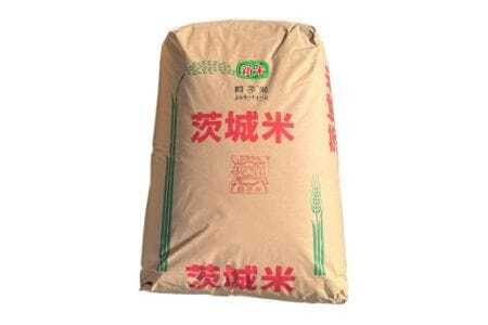 【令和7年産】獅子米 ミルキークイーン 玄米 30kg （精米可）お米 米 おこめ ブランド米 ミルキー 30キロ 国産 単一原料米 コメ こめ ご飯 銘柄米 茨城県産 茨城 産直 産地直送 農家直送 ごはん 家庭用 贈答用 お取り寄せ ギフト 茨城県 石岡市 (B02-008)