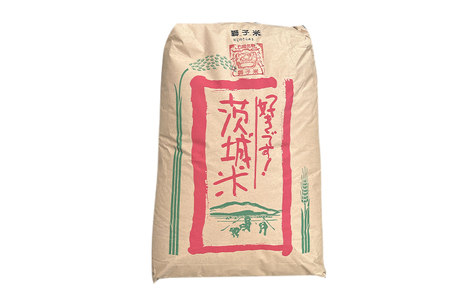 まんげつもち 玄米 10kg 岡田ファーム もち米 マンゲツモチ お米 もち 米 モチ 10キロ 国産 餅 こめ コメ 茨城県産 茨城 産直 産地直送 農家直送 おこわ 団子 餅米 玄米もち米 精米もち米 餅つき 年末年始 満月もち 家庭用 贈答用 茨城県 石岡市 (B02-022)