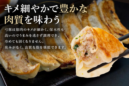 弓豚 ミンチ こま切れ セット 2.6kg 豚肉 和豚 銘柄豚 肉 粗挽き 国産 高品質 希少 産地直送 ヘルシー 家庭用 ギフト 冷凍 【先行予約 2026年3月以降発送予定】 (C01-006)