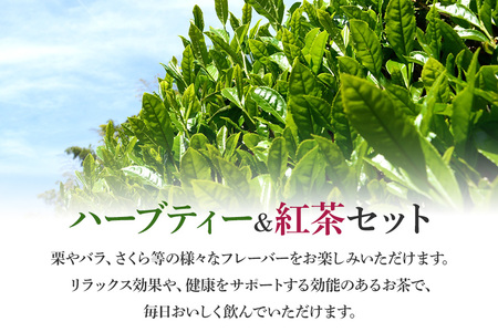 紅茶 & ハーブティー セット 生姜紅茶 ローズ紅茶 たんぽぽ茶 栗 紅茶 柿 紅茶 さくら 紅茶 さくら 緑茶 リラックス 健康茶 癒し ホットティー お茶 ハーブ フルーツティー 茨城県 石岡市 (E15-009)