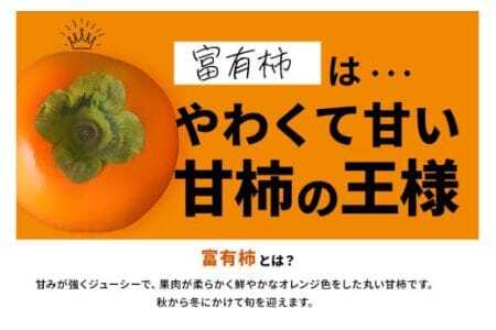 【 2026年 先行予約 】 富有柿 3L 12玉 1段箱 坂川果樹園 柿 甘い柿 大玉 かき 富有カキ 甘い 果物 フルーツ くだもの カキ 富有かき 秋 旬 甘柿 糖度 贈答用 贈答品 ギフト 贈り物 品種 ブランド 11月 12月 発送 産地直送 農家直送 産直 茨城県 石岡市 (A20-003)