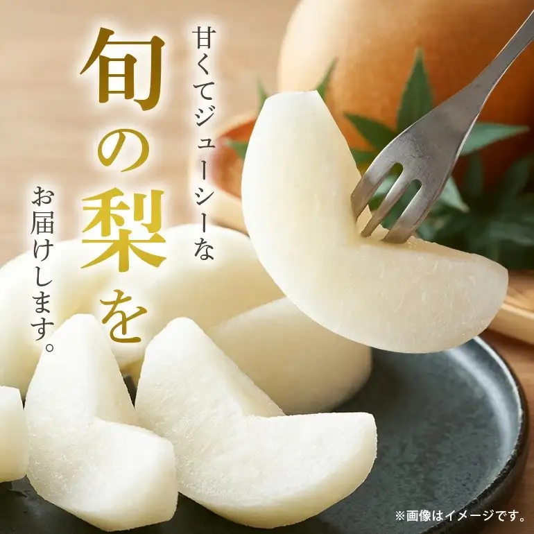 新高梨 箱込約 5kg（JA新ひたち野）梨 約 7玉 ～ 10玉 (B01-011)