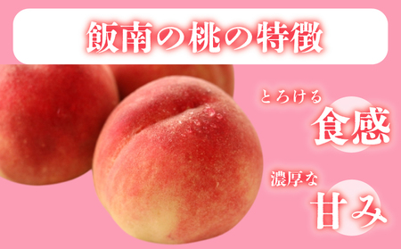 【2026年6月下旬より順次発送】 飯南の桃 約2kg 桃 ﾓﾓ