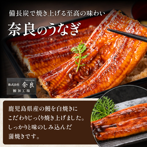 【丑の日に合わせてお届け！】鹿児島県産うなぎ蒲焼 無頭背開き2尾(奈良/IB020-001u) うなぎ