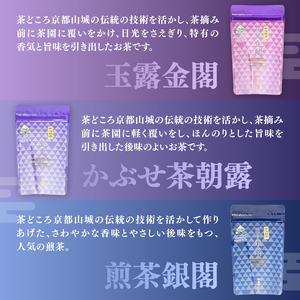 宇治銘茶ティーバッグ全種セット（9種10個入）067-17 お茶詰め合わせ お茶
