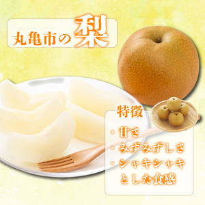 【2026年8月上旬より順次発送】【秀品】梨 約2kg  なし フルーツ