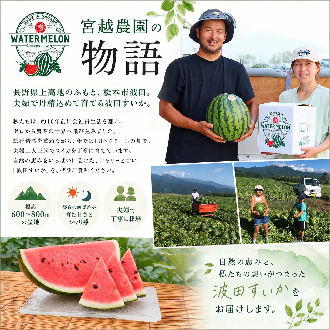 【先行受付】松本市 波田産 すいか 2L（7kg～8kg)