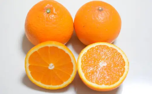 【濃厚】有田産清見オレンジ 5kg (サイズおまかせまたは混合) ご家庭用　※2027年3月上旬～3月下旬頃発送予定（お届け日指定不可） / みかん オレンジ 和歌山 有田みかん 柑橘 フルーツ 果物【tec011-c-5】