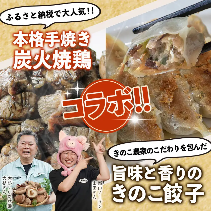本格手焼き!炭火焼鶏(150g×5P)&きのこ餃子セット〔11-1403〕_(都城市) 鶏肉 炭火焼き 小分け おつまみ 宮崎 餃子 きのこ 冷凍 柚子胡椒