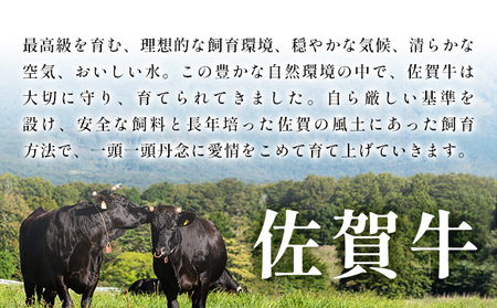 訳あり 佐賀牛切り落とし 1.5kg (500g×3p)