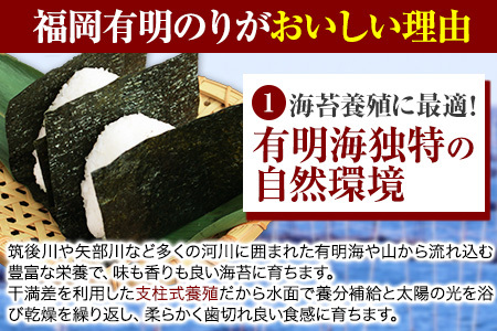 海苔 訳あり 福岡有明のり 簡易包装 福岡産 有明海 全型10枚 送料無料 パリパリ！《30日以内に出荷予定(土日祝除く)》 