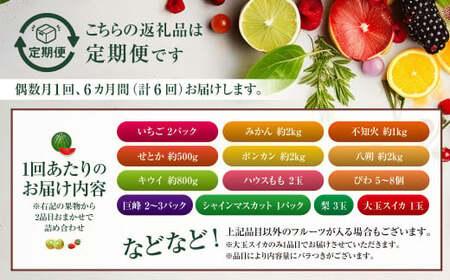 【年6回定期便（偶数月配送）】旬のフルーツ定期便 食べ比べセット 季節により厳選した果物を2品目詰め合わせ 果物 くだもの