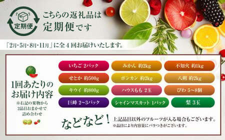 【年4回定期便(2月・5月・8月・11月配送)】旬のフルーツ定期便 食べ比べセット 季節により厳選した果物を2品目詰め合わせ ／ 果物 くだもの 長崎県 長崎市