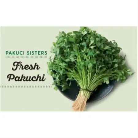 『PAKUCI SISTERS』の新鮮パクチー 1kg【配送不可地域：離島】【1497692】