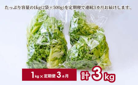 3種のレタス 各500g×2パック 1kg 定期便 | レタス