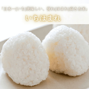 福井県産いちほまれ 米 10kg [D-187001] / いちほまれ