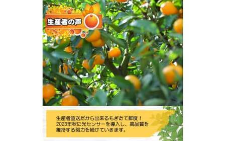 【先行予約】由良早生 みかん 家庭用 2kg / ゆら早生 温州みかん 極早生 甘い 家庭用 和歌山 柑橘 ※2026年10月上旬～11月上旬順次発送 ※北海道・沖縄・離島への配送不可 【nuk003-yura-2】