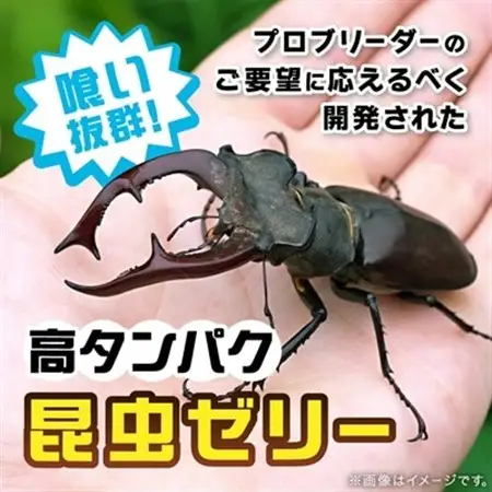プロゼリー　約500個入り　_昆虫ゼリー 高タンパク 昆虫 飼育_【1201217】