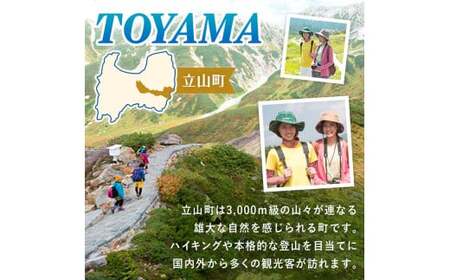 立山町 宿泊施設 宿泊券 15,000円分 (寄附額 60,000円) 宿泊チケット 宿泊 宿 山小屋 山荘 ホテル 旅 旅行 観光 レジャー チケット 登山 トレッキング アルペンルート 山岳観光 立山観光 立山黒部観光 F6T-778