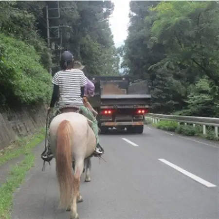 公道での乗馬～ちょっと道草ライド～1名(中学生以上)【1427727】