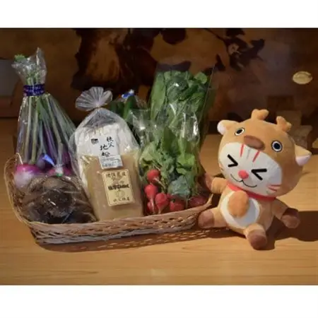 おがニャッピーと食べよう!おがのふるさとセット【配送不可地域：離島・沖縄県】【1471967】