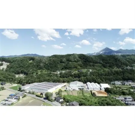 秩父の森のきのこセット【配送不可地域：離島】【1485007】