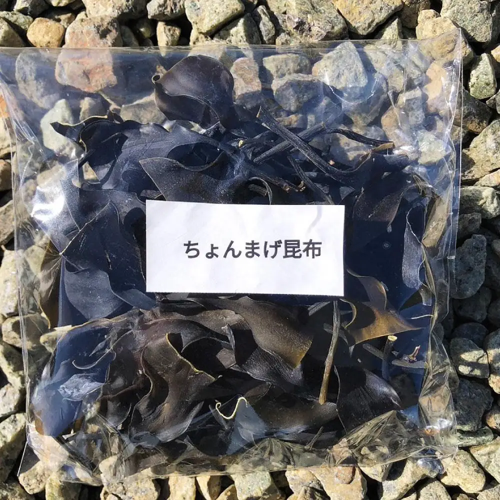 ちょんまげ昆布100g【カネオ成栄丸】 昆布 北海道