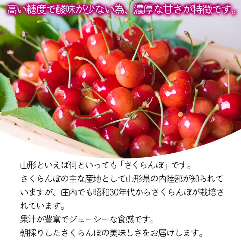 【令和8年産】さくらんぼ 紅秀峰　バラ詰め 1kg　Lサイズ以上　山形県鶴岡市　鶴岡中央青果　| サクランボ チェリー 山形 鶴岡 庄内産 東北 果物 くだもの フルーツ 1キロ 産地直送 甘い 完熟 旬の果物 果実 人気 美味しい お取り寄せ 返礼品