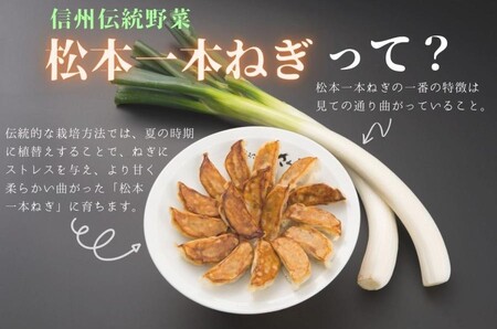 【定期便3回】【伝統野菜松本一本ねぎ使用】松本一本ねぎ餃子　20個入り×2 
