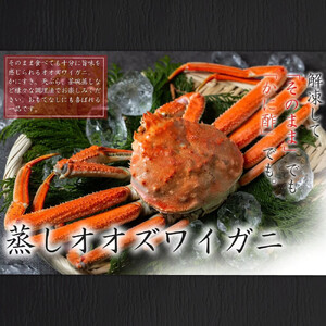 【訳あり】「蒸し」オオズワイガニ　1杯　約200ｇ ｜ オオズワイガニ