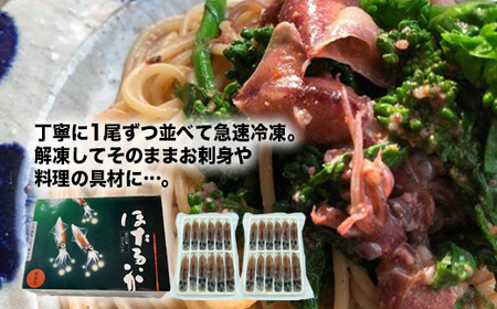 【射水市】【射水のおいしい食品】【海鮮】生冷ほたるいか ※離島への配送不可