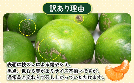 温州みかん 訳あり 極早生 7kg 杉本屋 温州みかん B010-143022