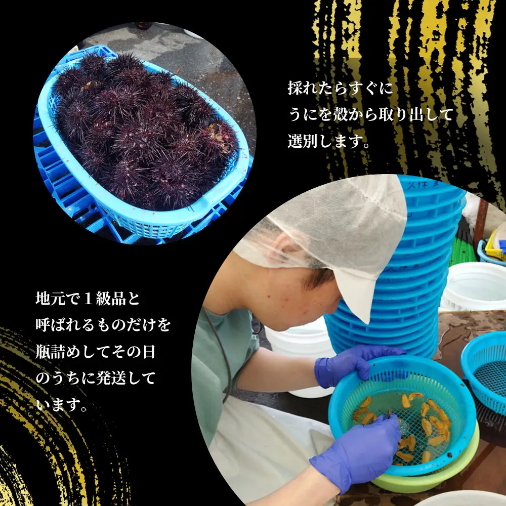 fn-72-038 三陸釜石・漁師直送 生うに 150g×3本 【5月中旬から7月頃期間限定 お届け便】 両石港 隆丸