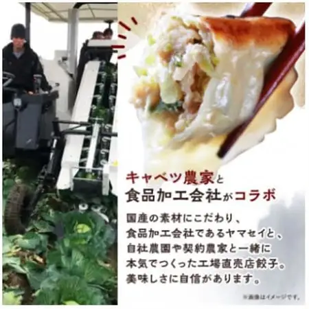 秀餃子 120個(40×3箱)2.4kg 国産野菜と肉の新鮮さにこだわった本気のぎょうざ 国産 冷凍_餃子 冷凍 大容量_【配送不可地域：離島】【1622598】