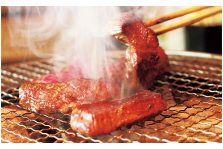 但馬牛 焼肉用 霜降り部位 500g / 牛肉 焼肉 霜降り 赤身 但馬牛 黒毛和牛 和牛 国産牛 焼き肉 牛 肉 やきにく 【JAたじま 肉の店本店】