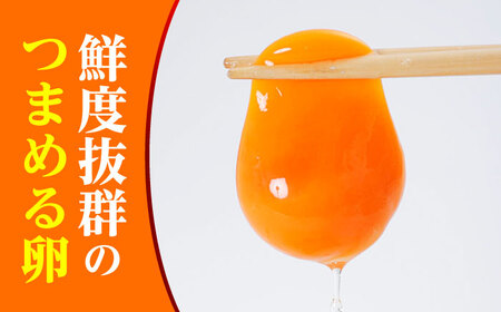 【全3回定期便】 たまご 30個 約2kg【マツヤマエッグファーム】[ZAW006]