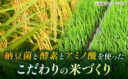 令和7年産白米10kg こば農園のお米くまさんの輝き[山鹿湧水米]白米ZFO003
