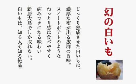 【先行予約】【数量限定】 新居浜大島産 幻のさつまいも 『白いも』 2kg 七福芋 白芋 希少