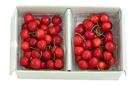 《2026年発送先行予約》さくらんぼ紅秀峰 約700g 350×2 L～2L化粧箱 果物 くだもの フルーツ 夏果物 サクランボ F4A-0950