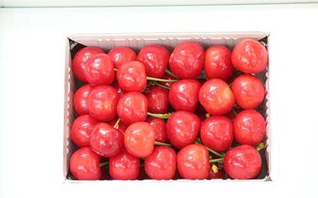《2026年発送先行予約》さくらんぼ紅秀峰 約500g L～2L 秀 化粧箱 果物 くだもの フルーツ 夏果物 サクランボ F4A-0951