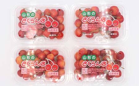 《2026年発送先行予約》さくらんぼ紅秀峰 約720g(180g×4p) L 秀 果物 くだもの フルーツ 夏果物 サクランボ F4A-0952