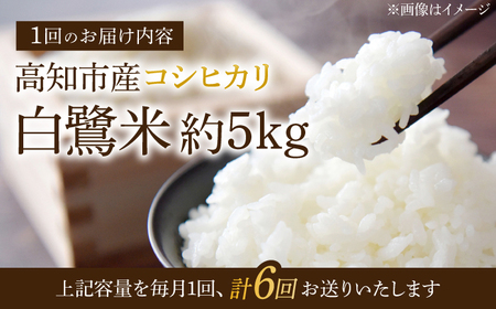 【6回定期便】 R7年度産 特別栽培米 農薬節減！ 白鷺米 コシヒカリ 各約5kg 合計約30kg / 高知 米 お米 精米 　【津ノ宮農園】[ATBV013]